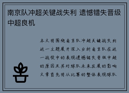 南京队冲超关键战失利 遗憾错失晋级中超良机